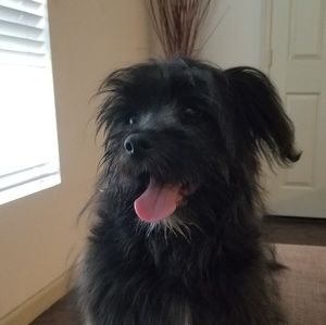 Meet your Posher, Shashika